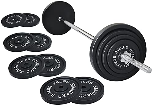 95-Pound Cast Iron Weight Plates with Barbell Set