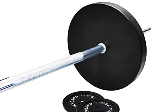 95-Pound Cast Iron Weight Plates with Barbell Set