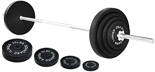 95-Pound Cast Iron Weight Plates with Barbell Set