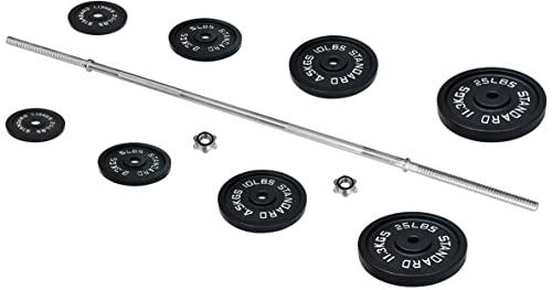 95-Pound Cast Iron Weight Plates with Barbell Set