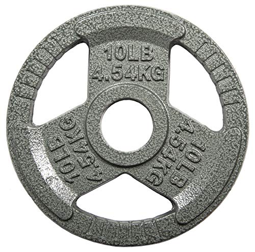 10LB Cast Iron Weight Plate for Strength Training