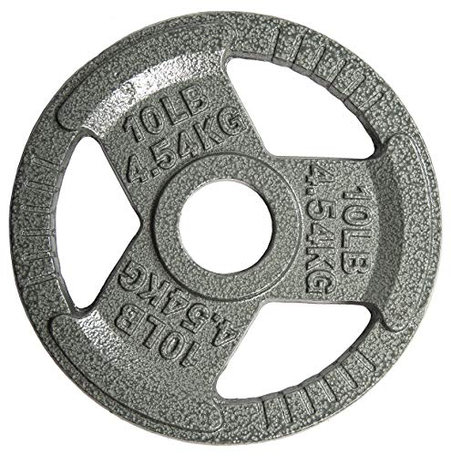 10LB Cast Iron Weight Plate for Strength Training