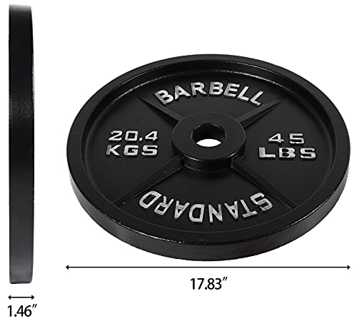 Fitvids 45LB Olympic Cast Iron Weight Plate