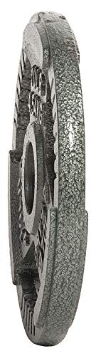 10LB Cast Iron Weight Plate for Strength Training