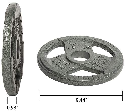 10LB Cast Iron Weight Plate for Strength Training