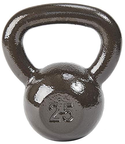 25 lb Solid Cast Iron Kettlebell by Signature Fitness