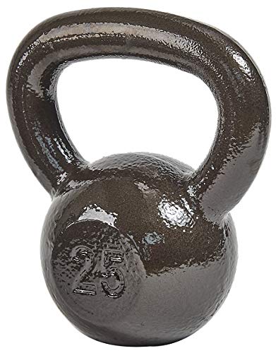 25 lb Solid Cast Iron Kettlebell by Signature Fitness
