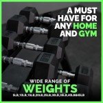 Hex Weight Dumbbell Set with Rack – 5-50 lbs