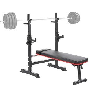 Adjustable Weight Bench with Barbell Rack and Dip Station