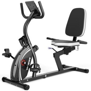 VANSWE Recumbent Exercise Bike with Bluetooth & Resistance