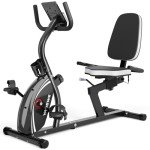 VANSWE Recumbent Exercise Bike with Bluetooth & Resistance