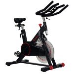 Sunny Health Magnetic Belt Drive Indoor Cycling Bike