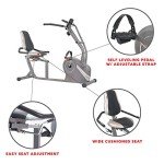 Sunny Health & Fitness Magnetic Recumbent Bike