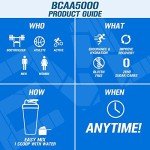 Evlution BCAAs Powder for Post Workout Recovery