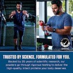 Dymatize Elite Whey Protein Powder, Gourmet Vanilla