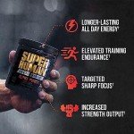 Alpha Lion Core Pre Workout Powder - Fruit Punch