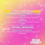 BCAA Amino Acids Powder for Energy and Recovery