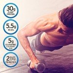 Chocolate Vegan Protein Powder with Probiotics - 19 Servings