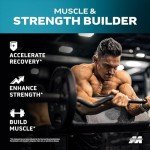 Muscletech HMB 1000mg Muscle Recovery Softgels