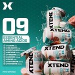 Scivation XTEND EAA + BCAA Powder - Lean Muscle Support