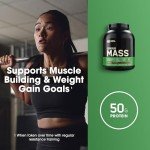 Optimum Nutrition Serious Mass Weight Gainer, 6 lbs