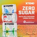 Xtend Original Sugar-Free BCAA Powder for Recovery