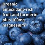 Vegan Muscle Recovery Powder - Blackberry Lemonade