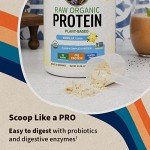Organic Vanilla Vegan Protein Powder - 22g Plant Based