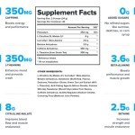 LEGION Pulse All-Natural Pre Workout Drink - Fruit Punch