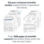 LEGION Pulse All-Natural Pre Workout Drink - Fruit Punch