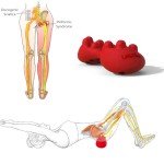 LittleMum Back and Gluteus Trigger Point Massager