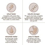 Chocolate Post Workout Recovery Drink Mix - 12 Servings