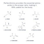 BodyHealth PerfectAmino Essential Amino Acids Tablets