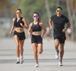 Tifosi Sanctum Sunglasses for Active Lifestyles