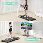 DeerRun 2-in-1 Under Desk Treadmill, Portable
