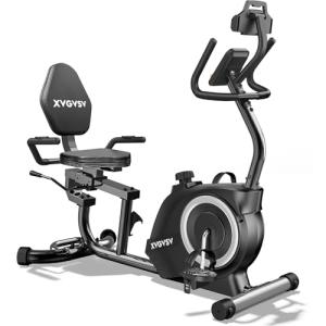 Quiet Recumbent Exercise Bike with Adjustable Seat