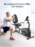 Recumbent Exercise Bike with Heart Rate Monitor