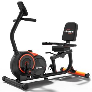 Adjustable Recumbent Exercise Bike for Home Use