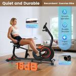 Adjustable Recumbent Exercise Bike for Home Use