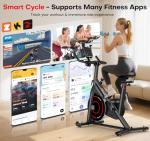 CHAOKE Quiet Adjustable Magnetic Exercise Bike