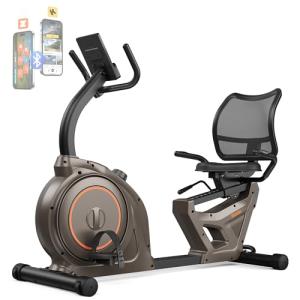 Niceday Bluetooth Recumbent Exercise Bike for Home