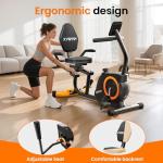 Quiet Recumbent Exercise Bike with Adjustable Seat