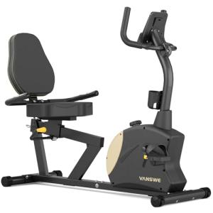 VANSWE Recumbent Exercise Bike for Home Use