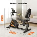 Goimu Magnetic Recumbent Exercise Bike for Home