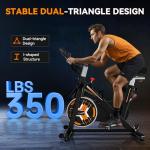 WENOKER Silent Stationary Exercise Bike for Home