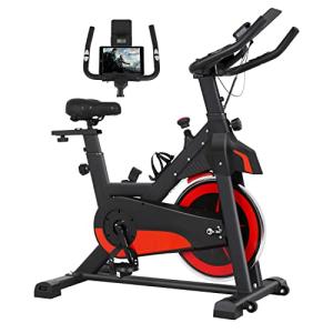 Indoor Cycling Exercise Bike with LCD Monitor