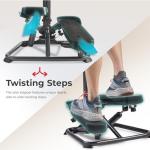 Sunny Health & Fitness Smart Twist Stair Stepper