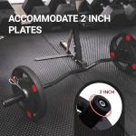 Fitvids 48-Inch Olympic Curl Barbell in Alloy Steel