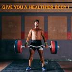 Elevon 48" Olympic Curl Barbell for Biceps