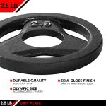 JFIT 2.5 LB Olympic Grip Plate for Barbells